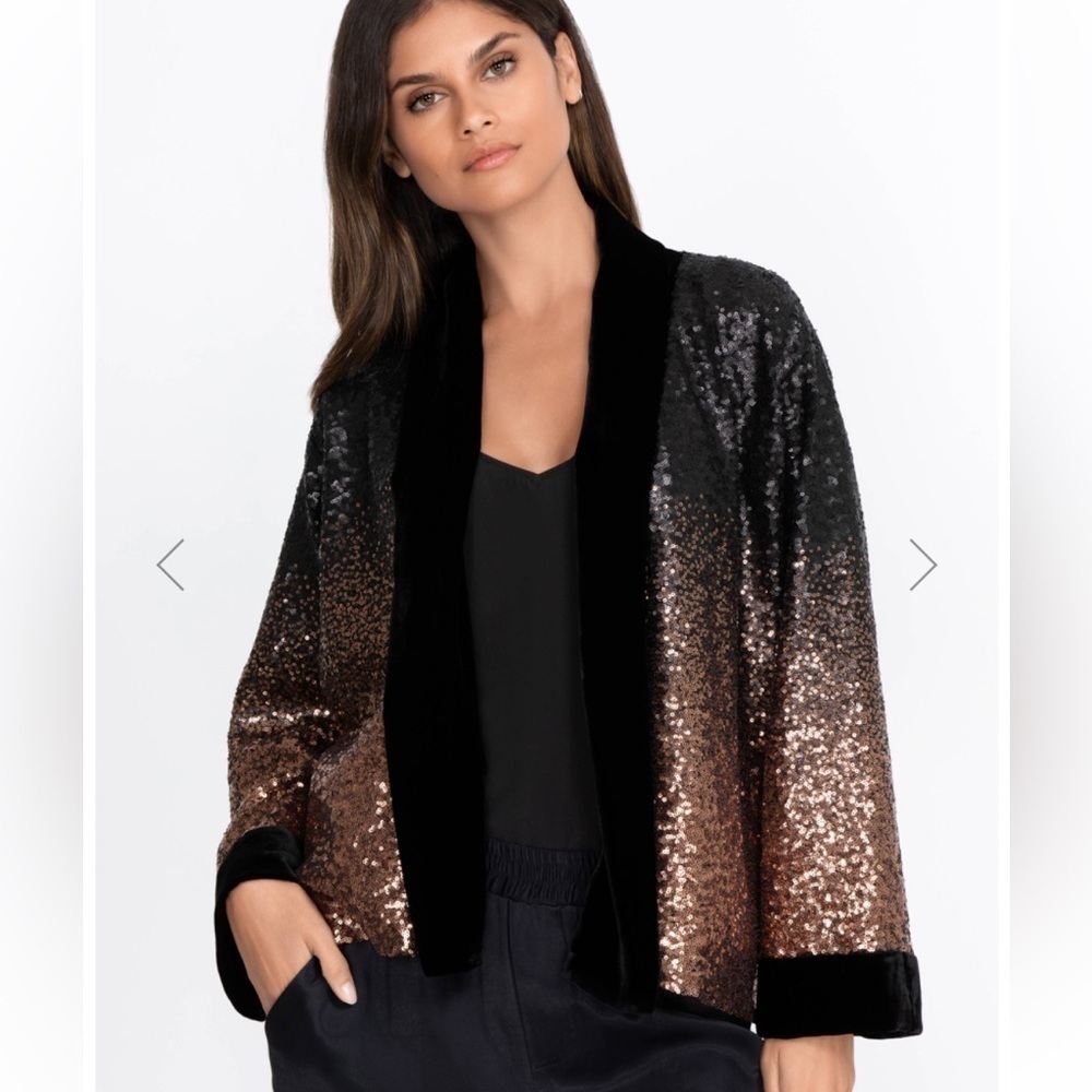 Johnny Was Oversized Velvet Sequin Dorian Ombr Oversized Kimono Nwt
